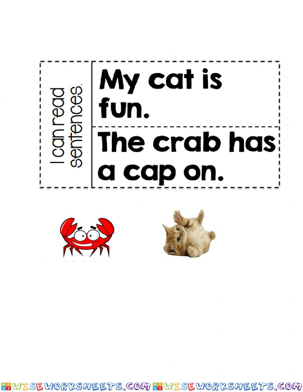 Cc Sentences