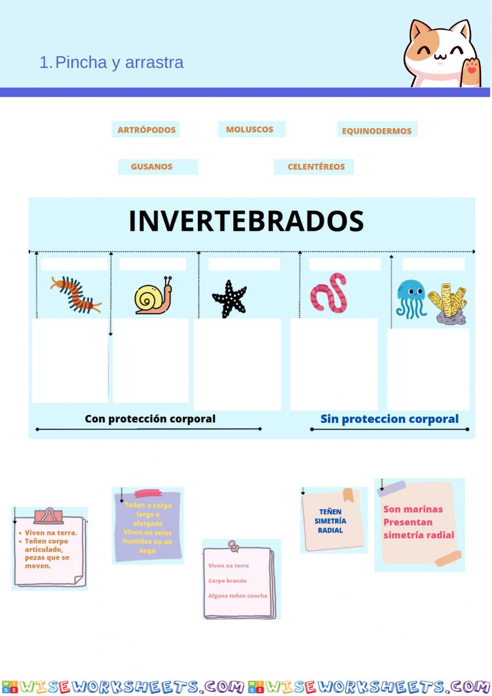 Invertebrados