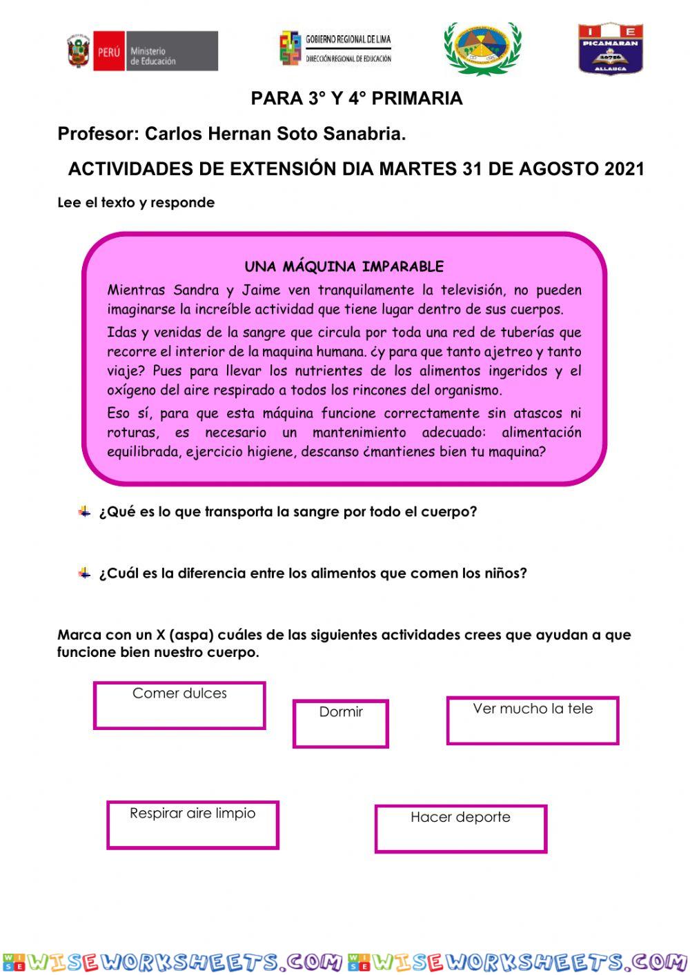 La nutrición y sistema digestivo