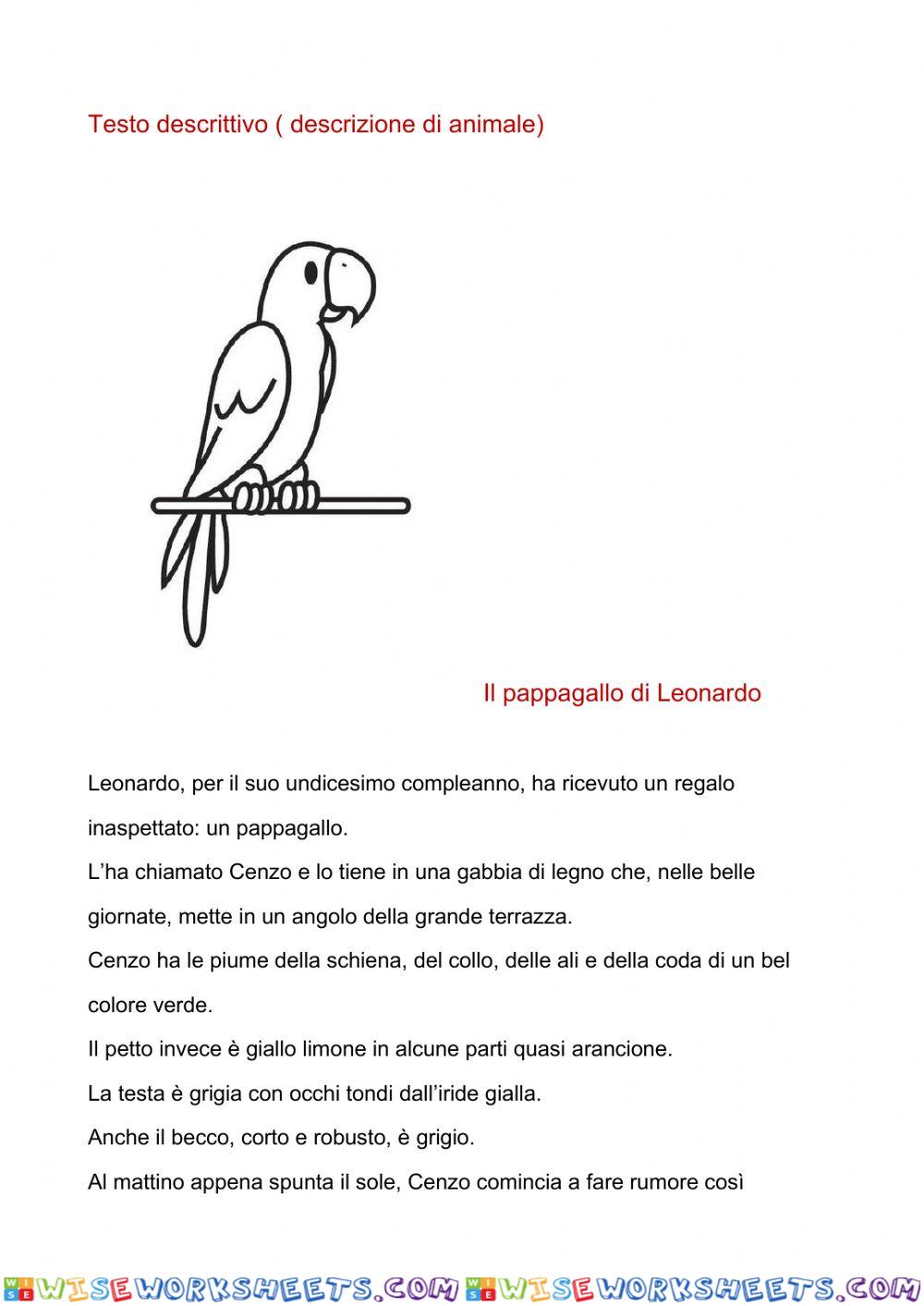 Il pappagallo di Leonardo