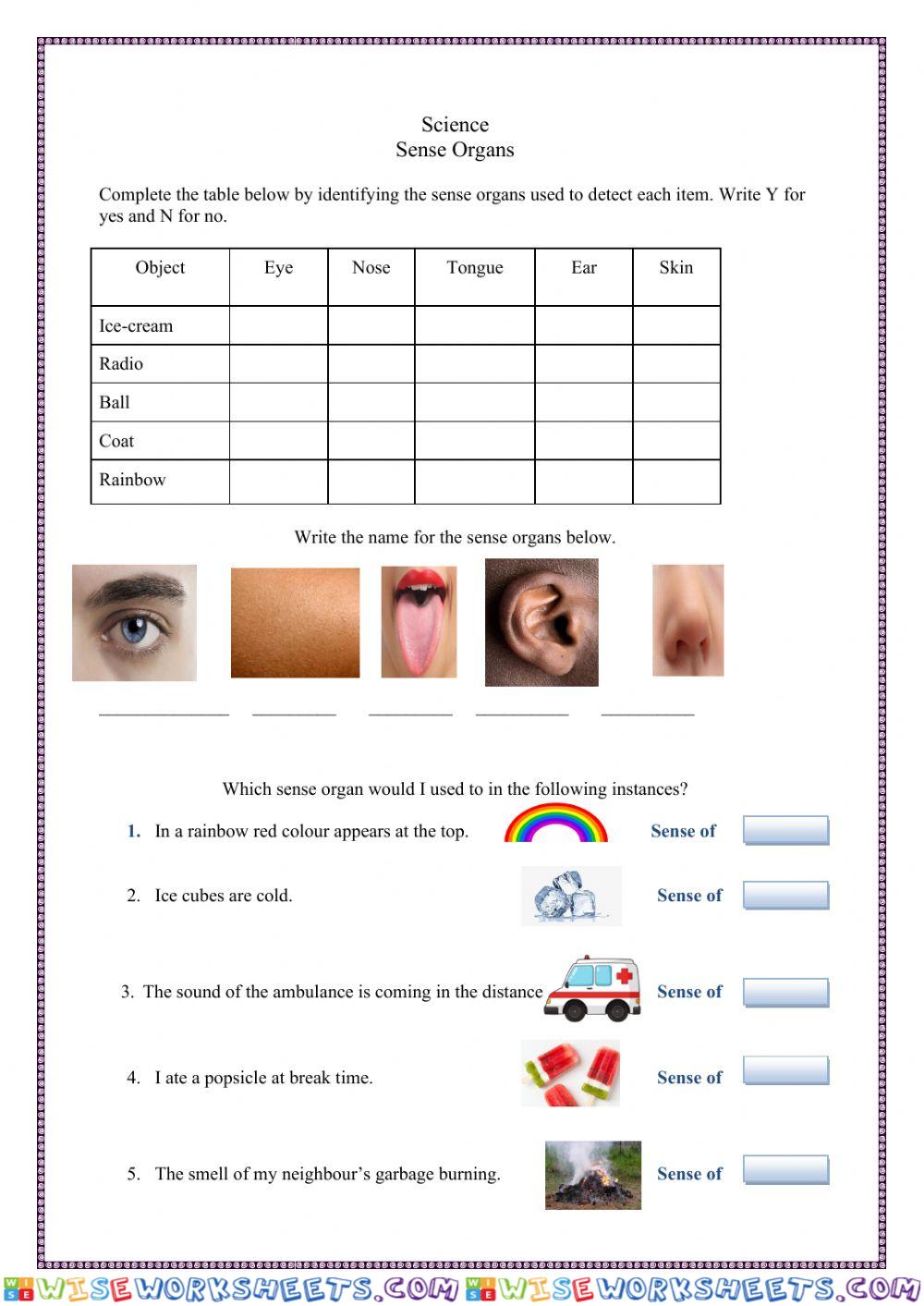 Sense Organ