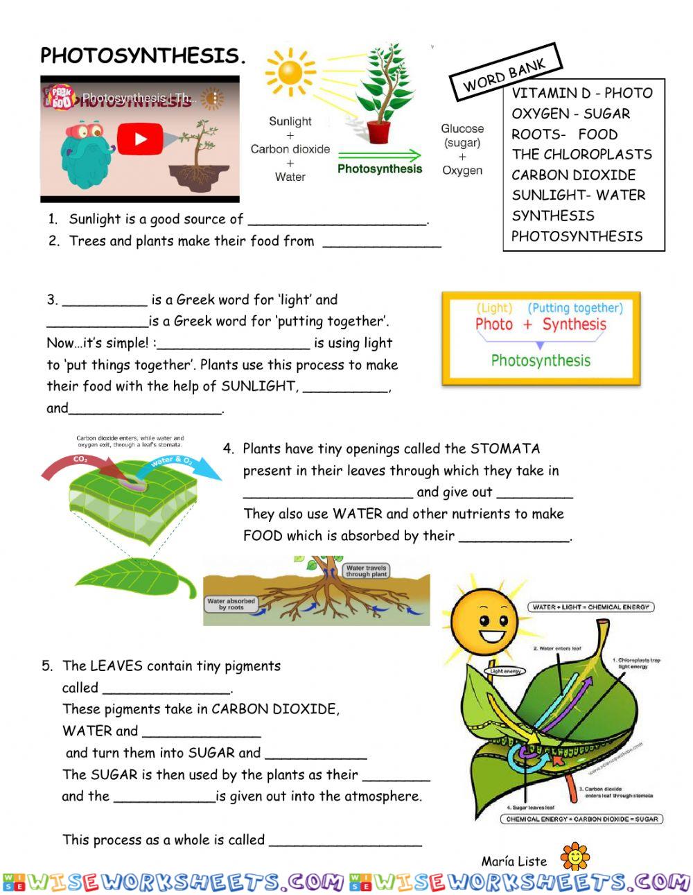 Video-worksheet PHOTOSYNTHESiS