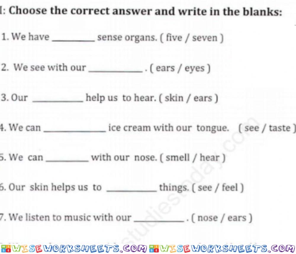 worksheet