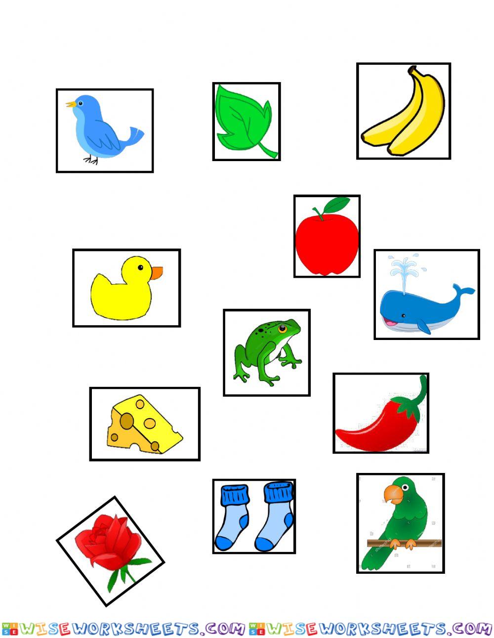 worksheet
