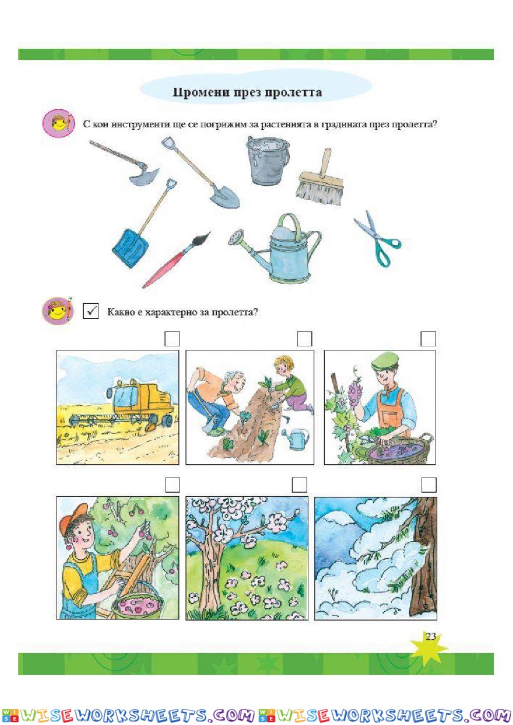 worksheet