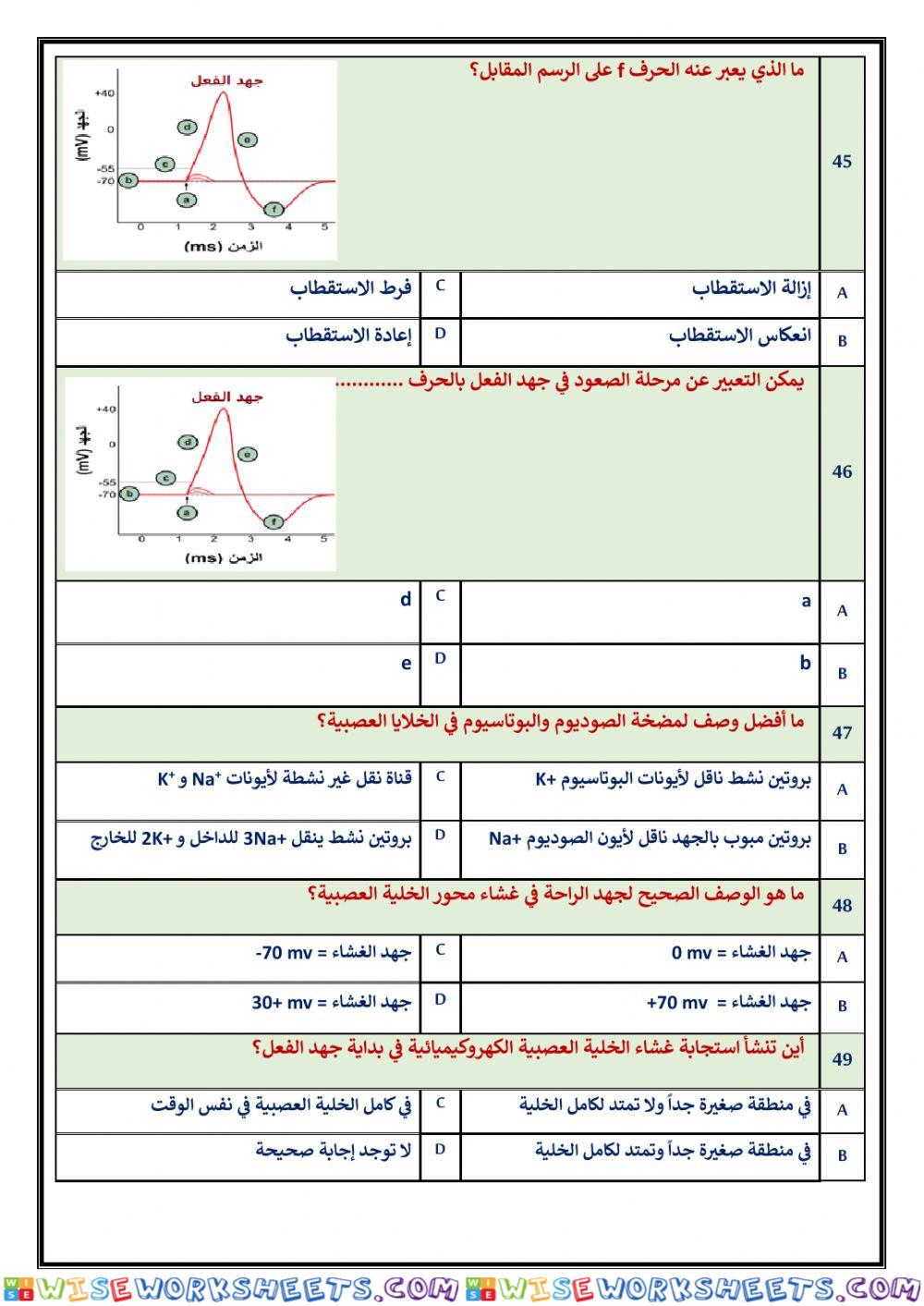 worksheet