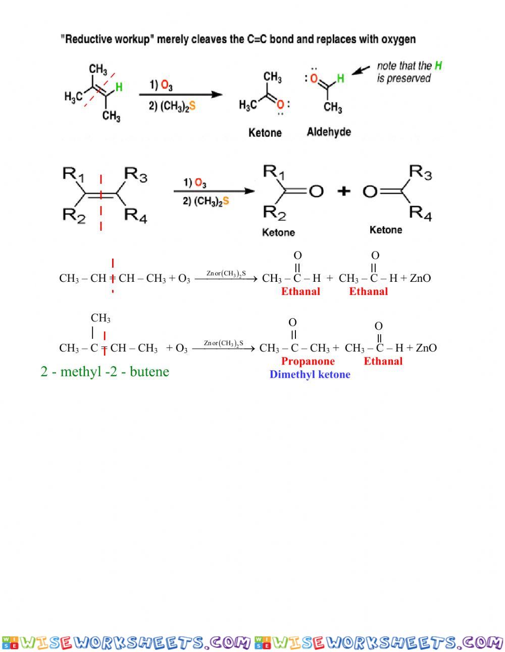 worksheet
