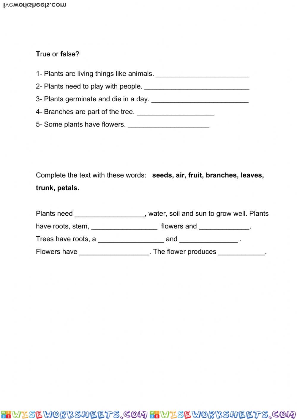 worksheet