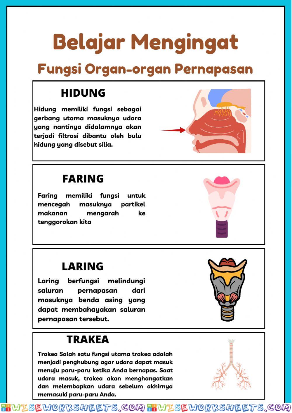 worksheet