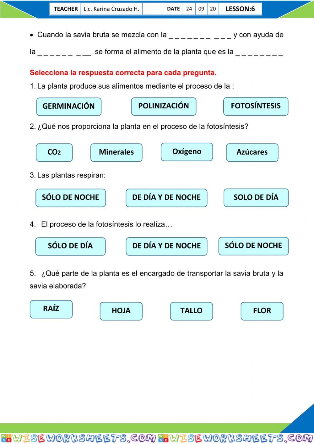 La fotosíntesis
