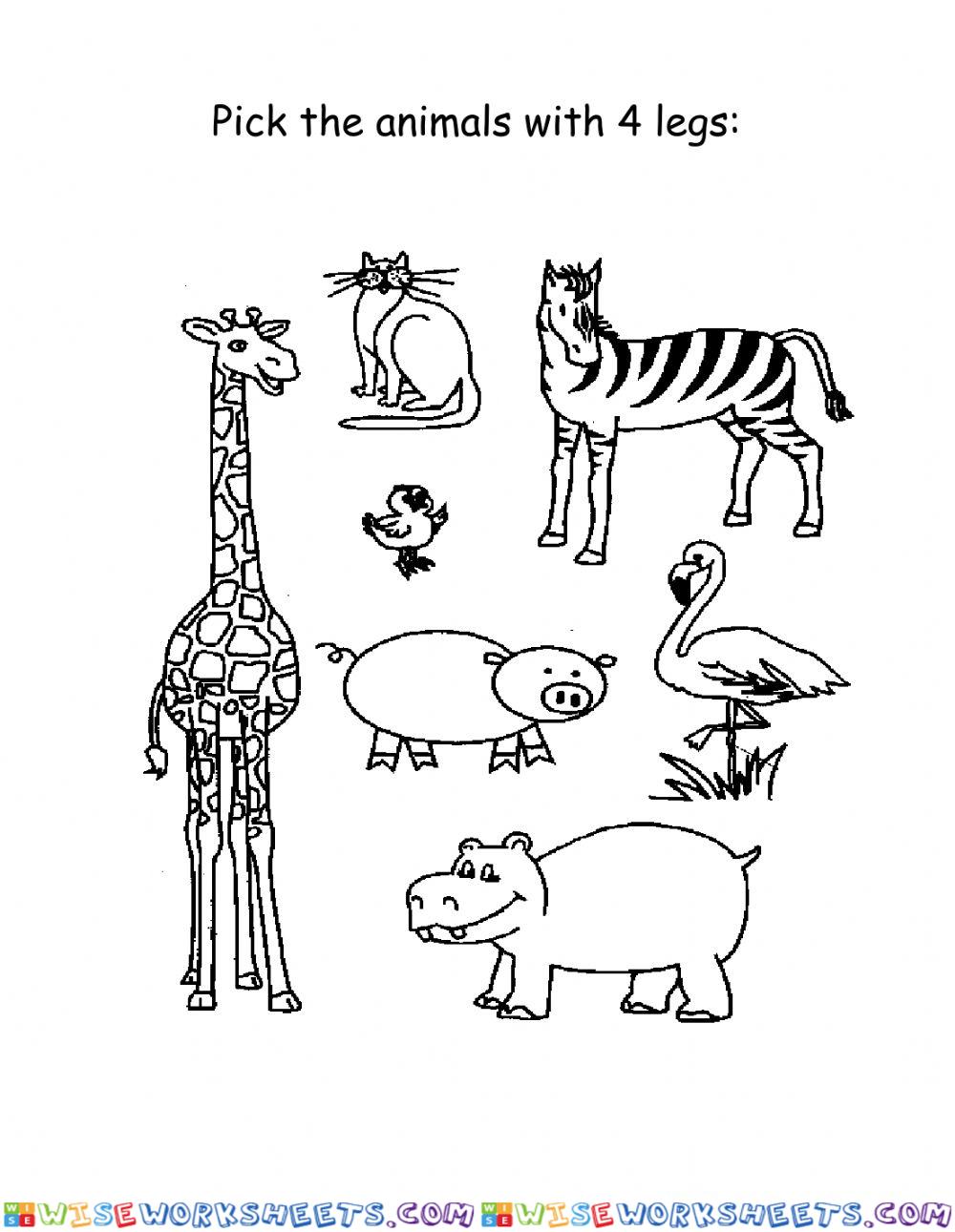 Animals With 4 Legs