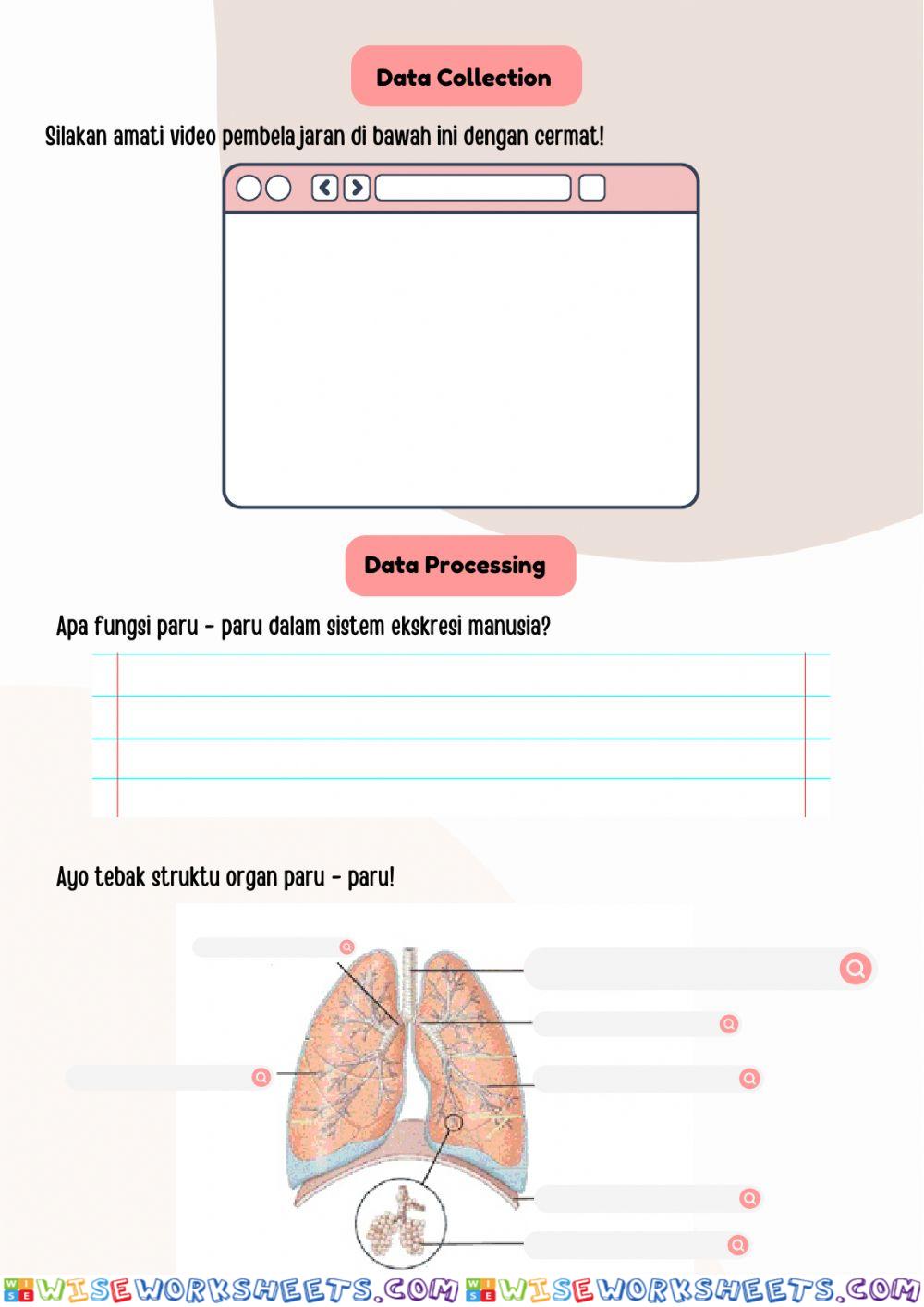 worksheet