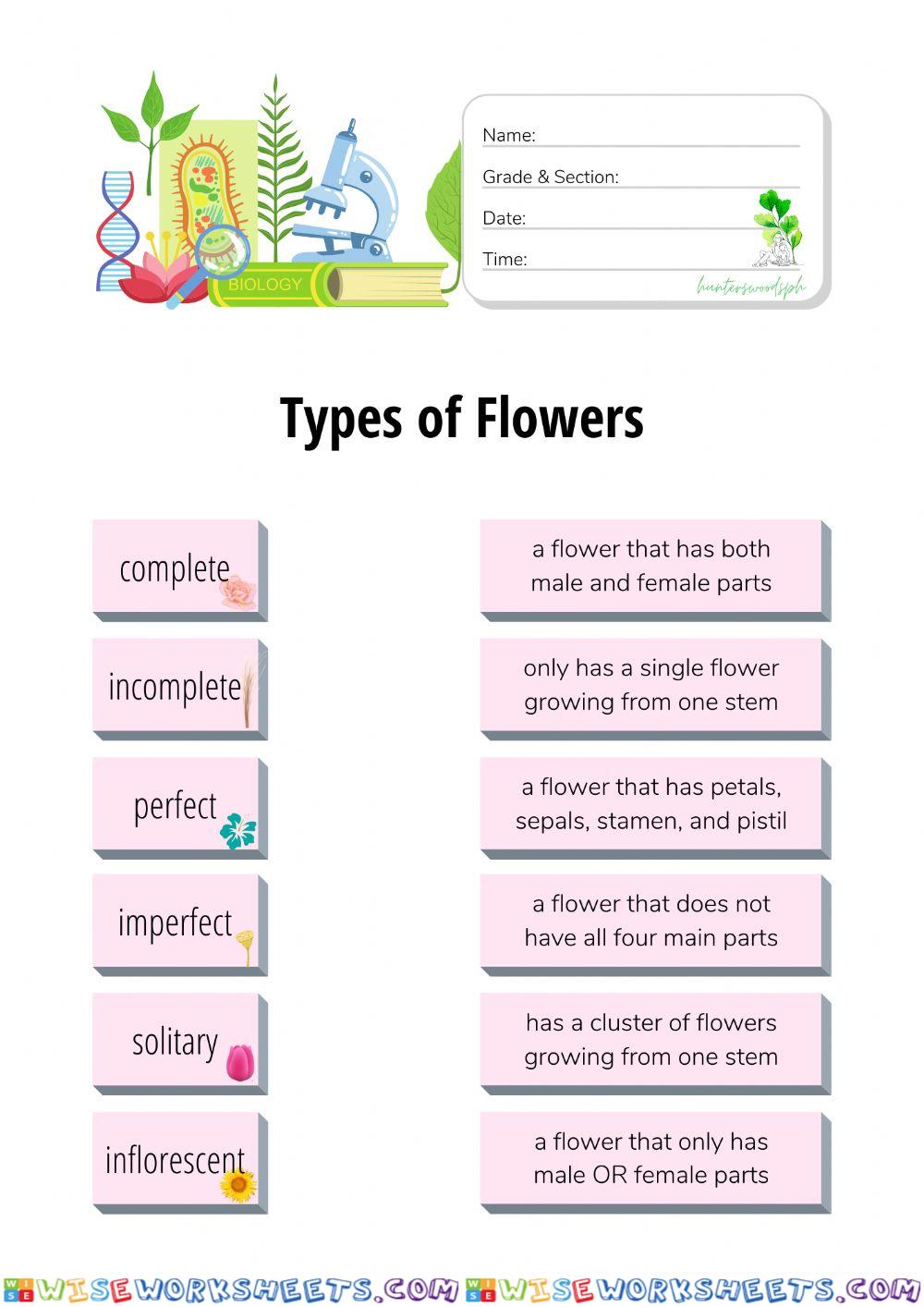 Types of Flowers - HuntersWoodsPH Biology