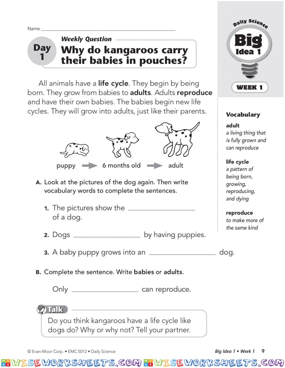 Daily Science Grade 3