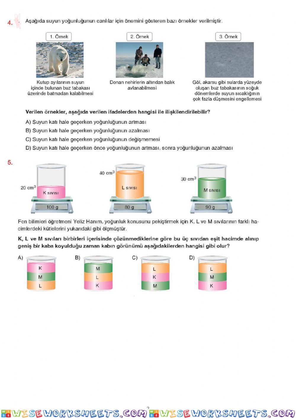 worksheet