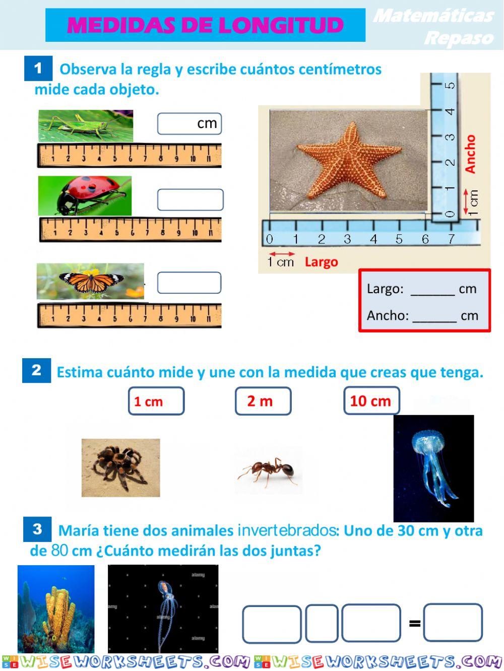 Medidas de longitud