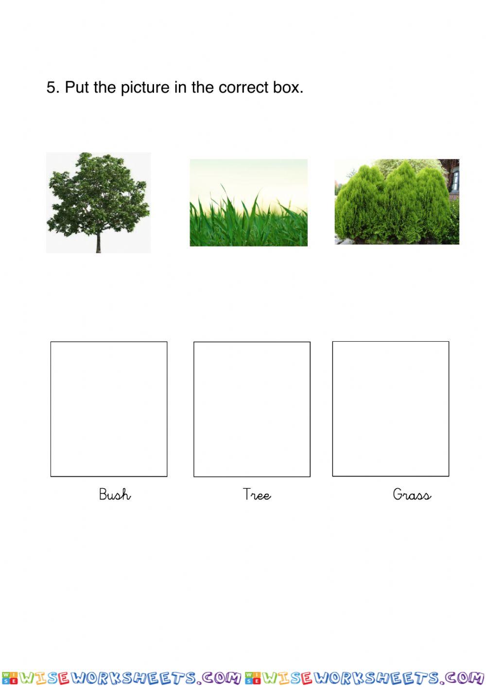 worksheet