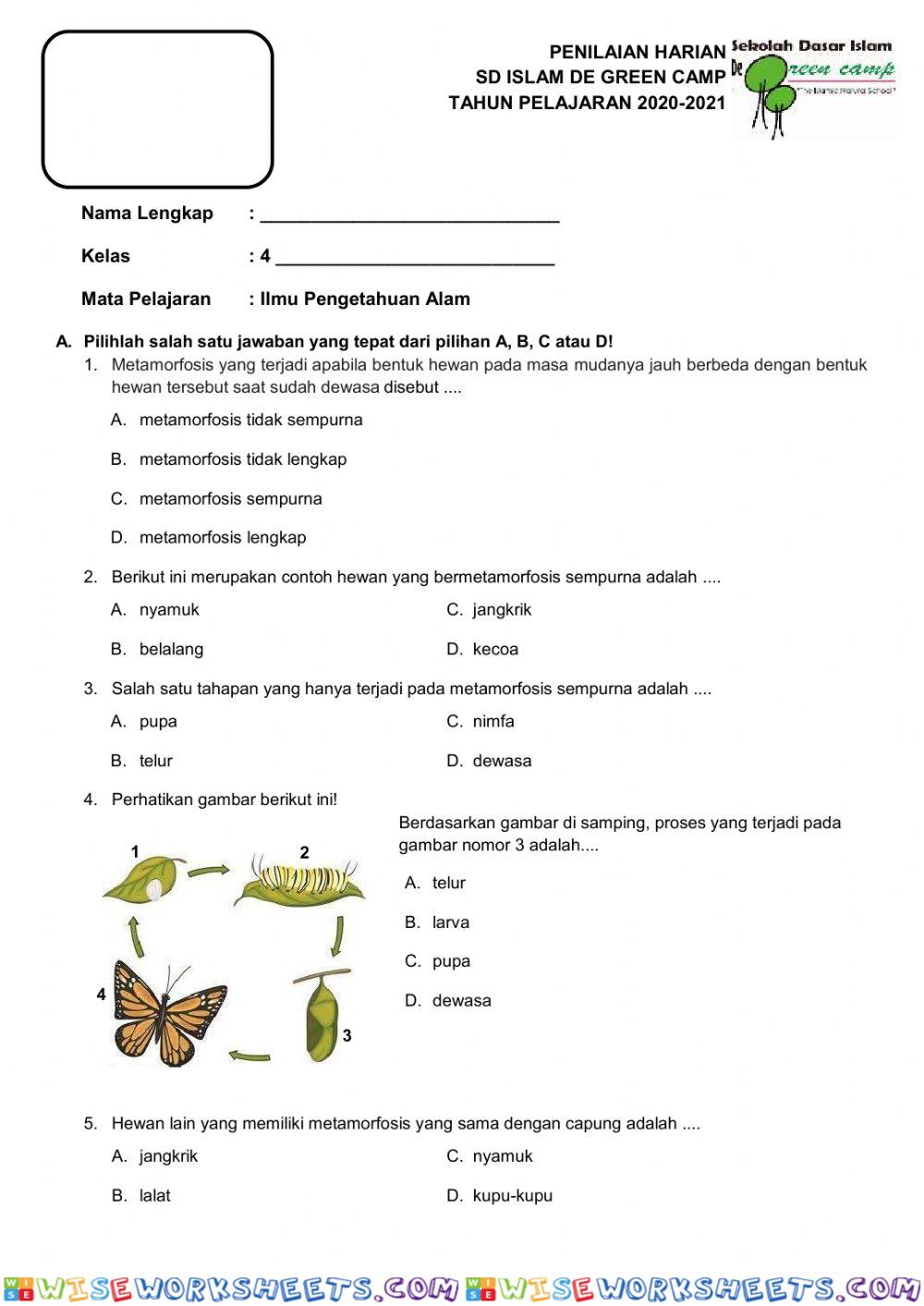 worksheet