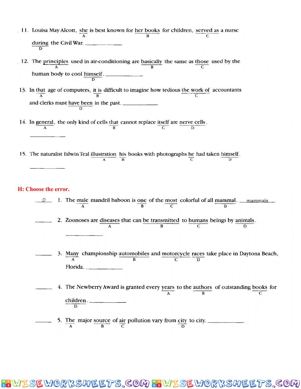 worksheet