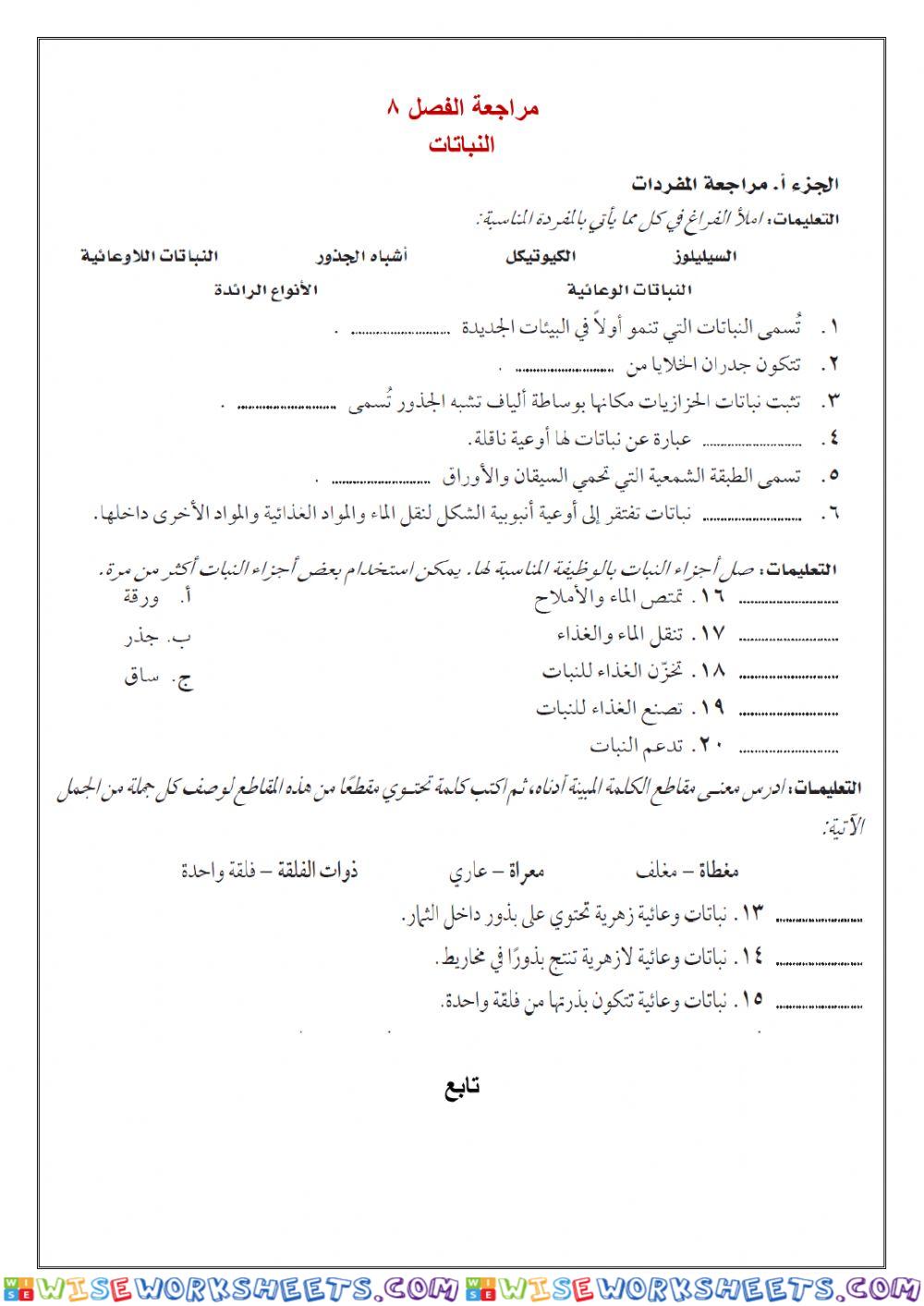 مراجعة الفصل 8 النباتات