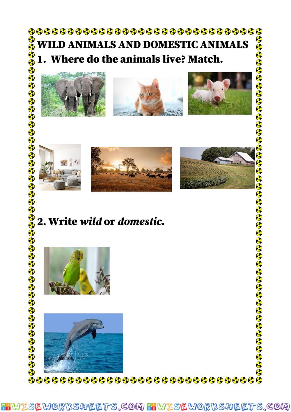 Wild and domestic animals