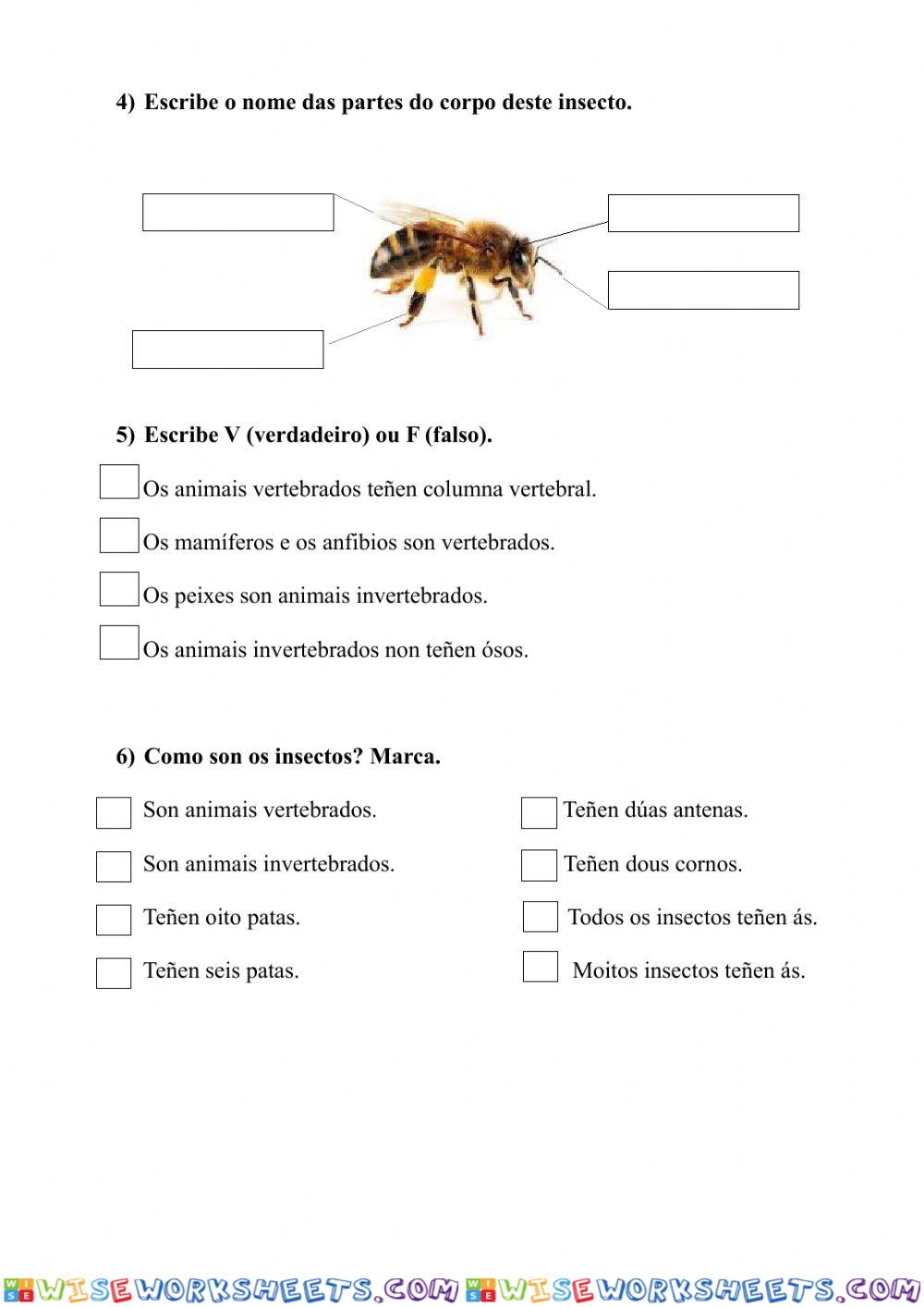 worksheet