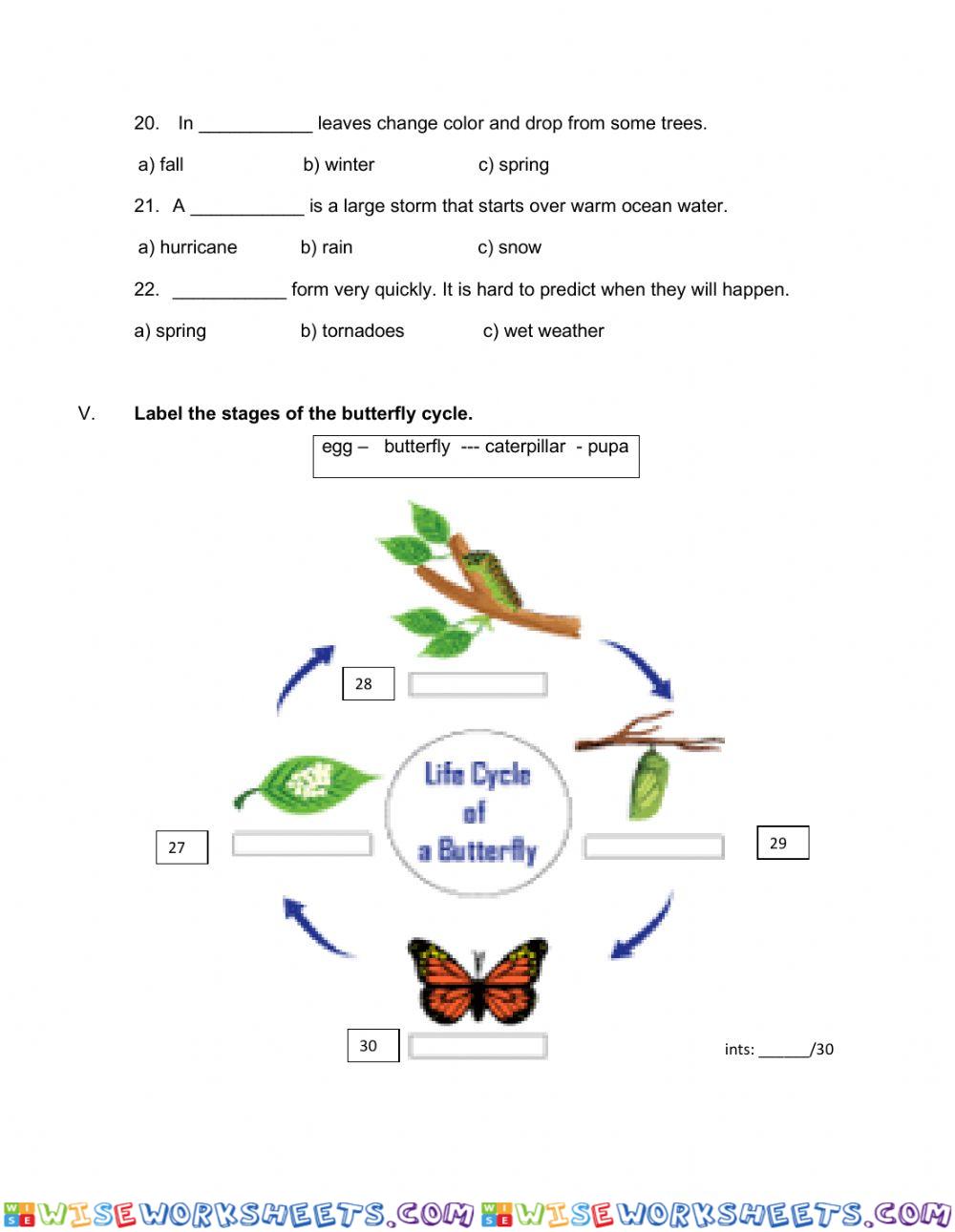 worksheet
