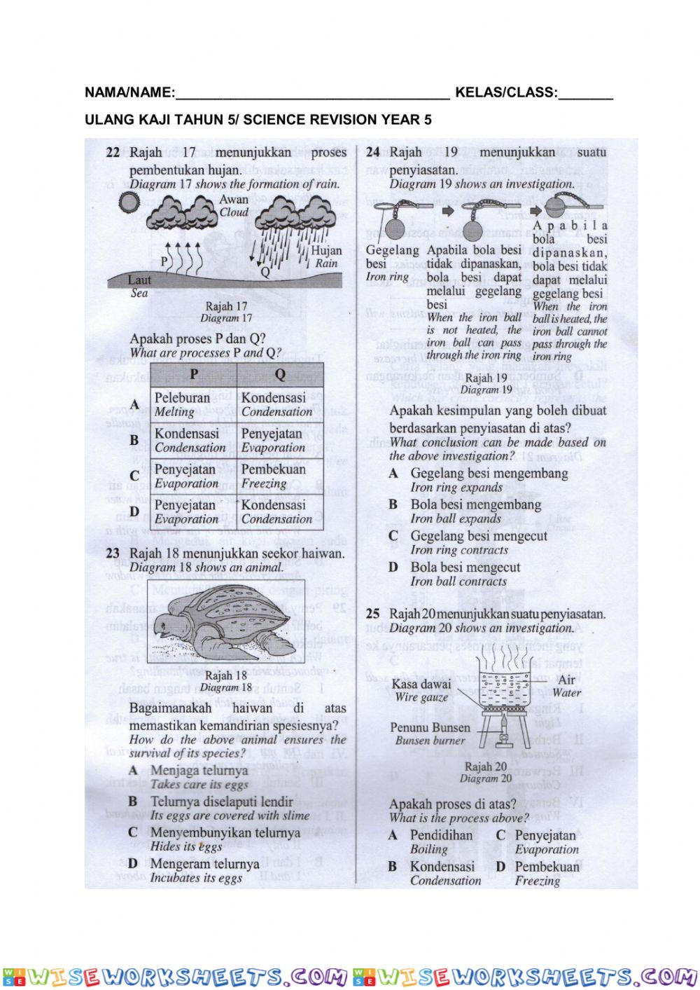 worksheet
