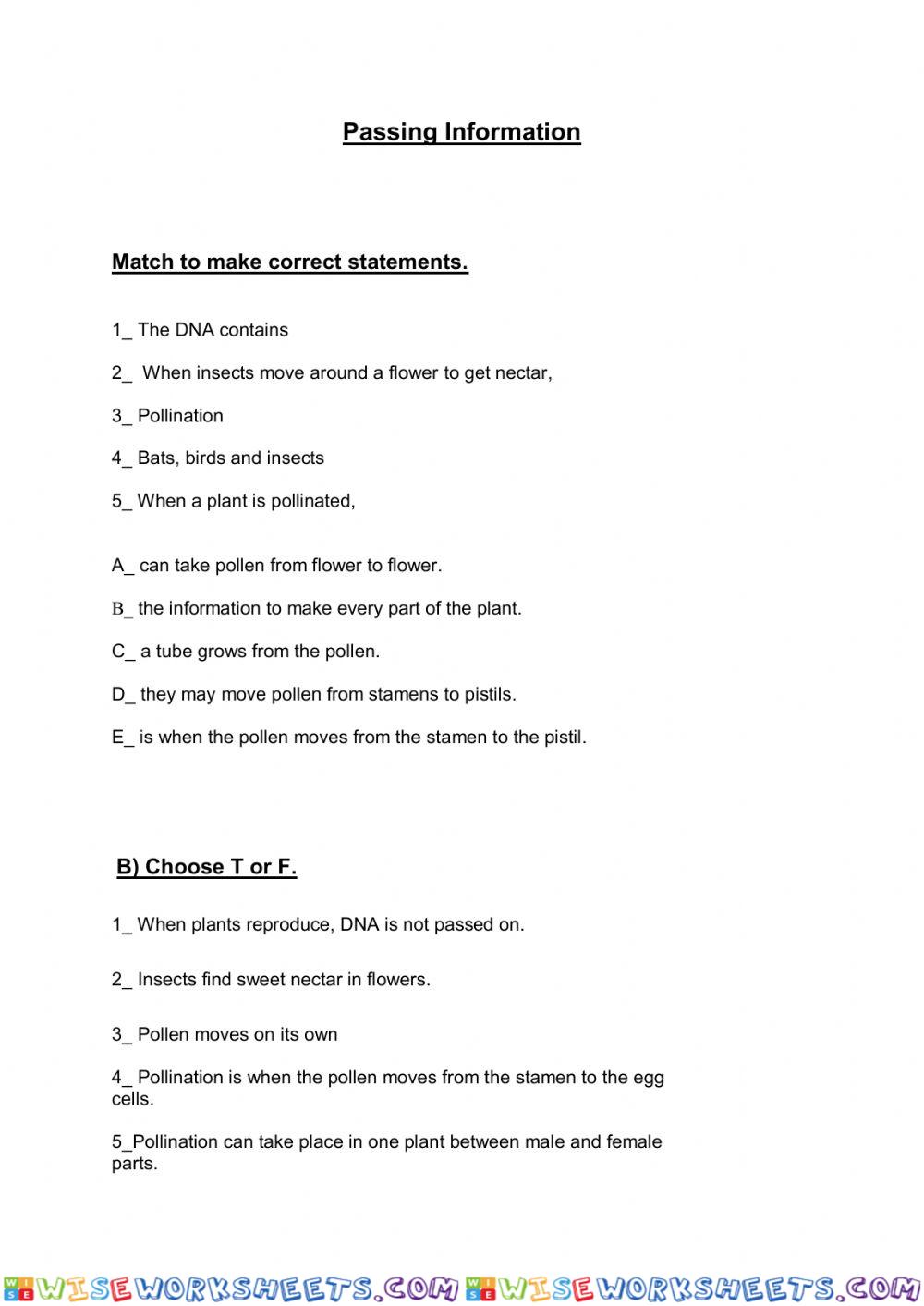 worksheet