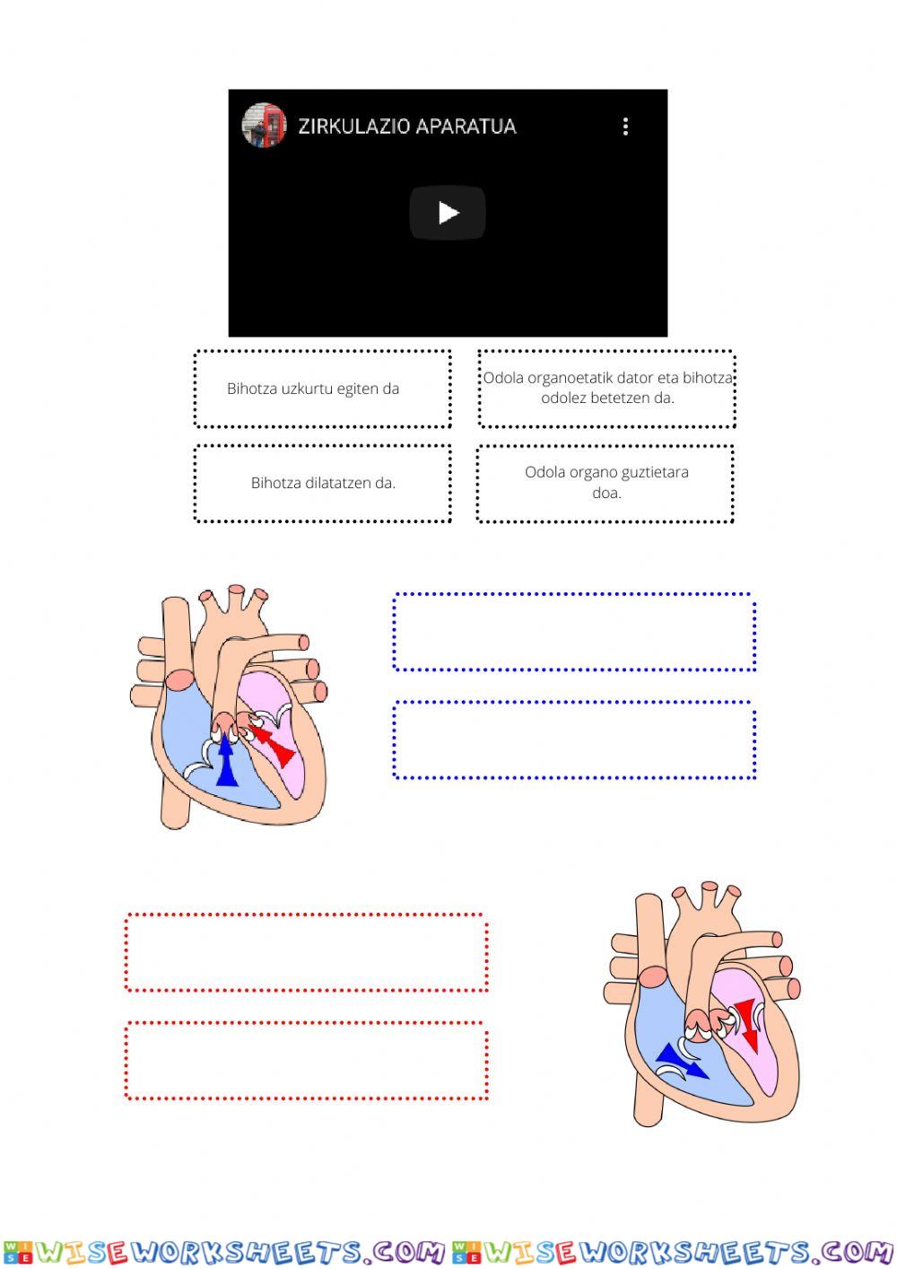 worksheet