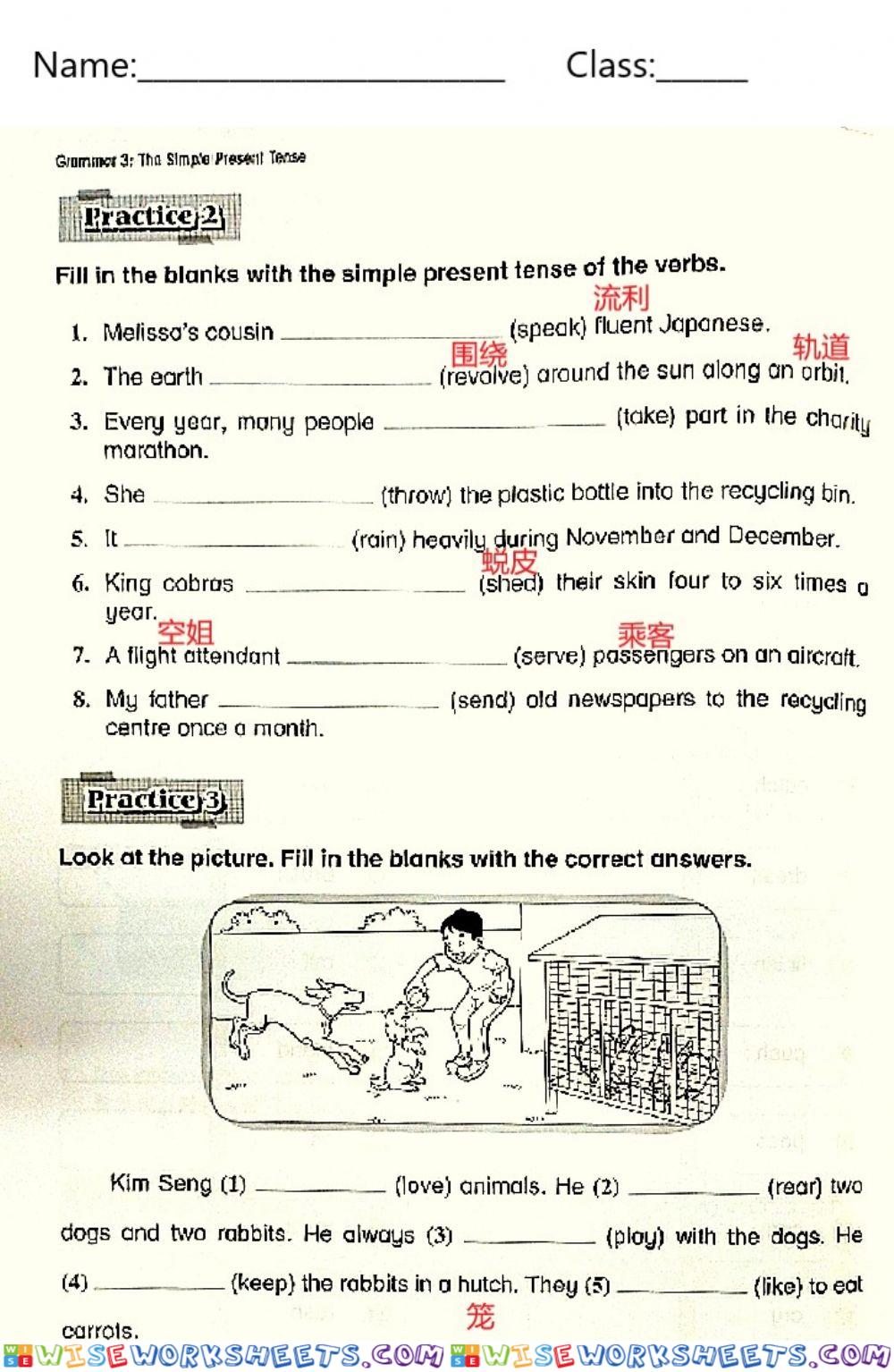 Grammar - Simple Present Tense (2)