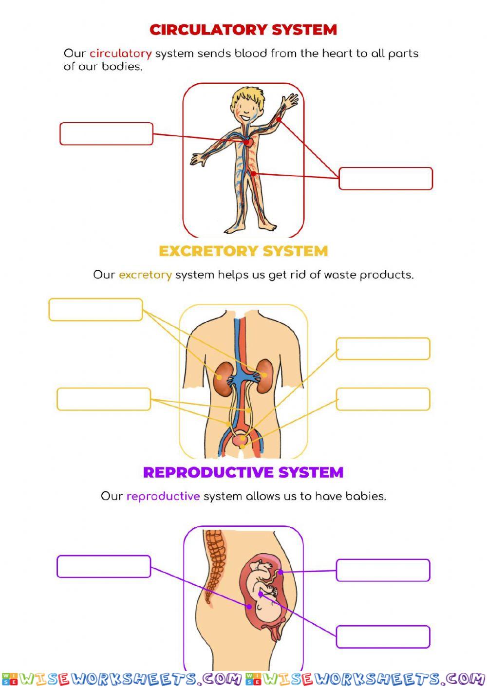 Life processes