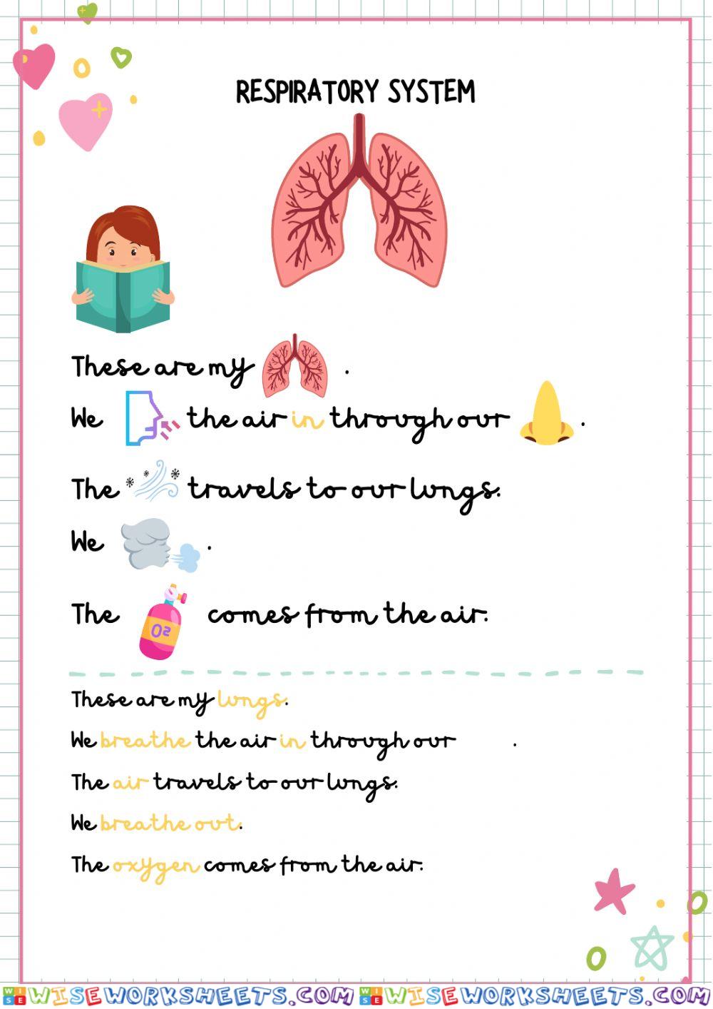 worksheet