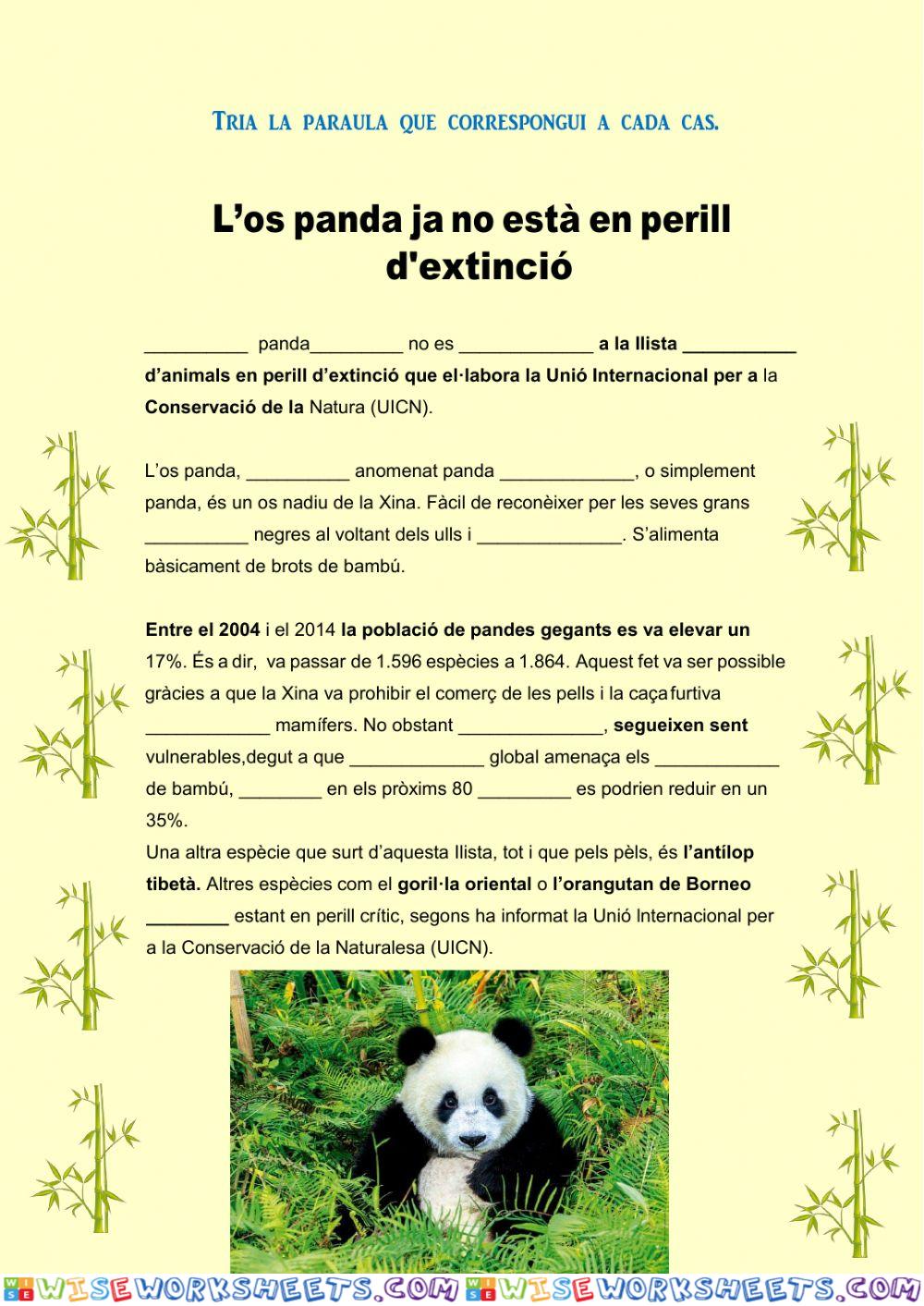 Ortografia: os panda