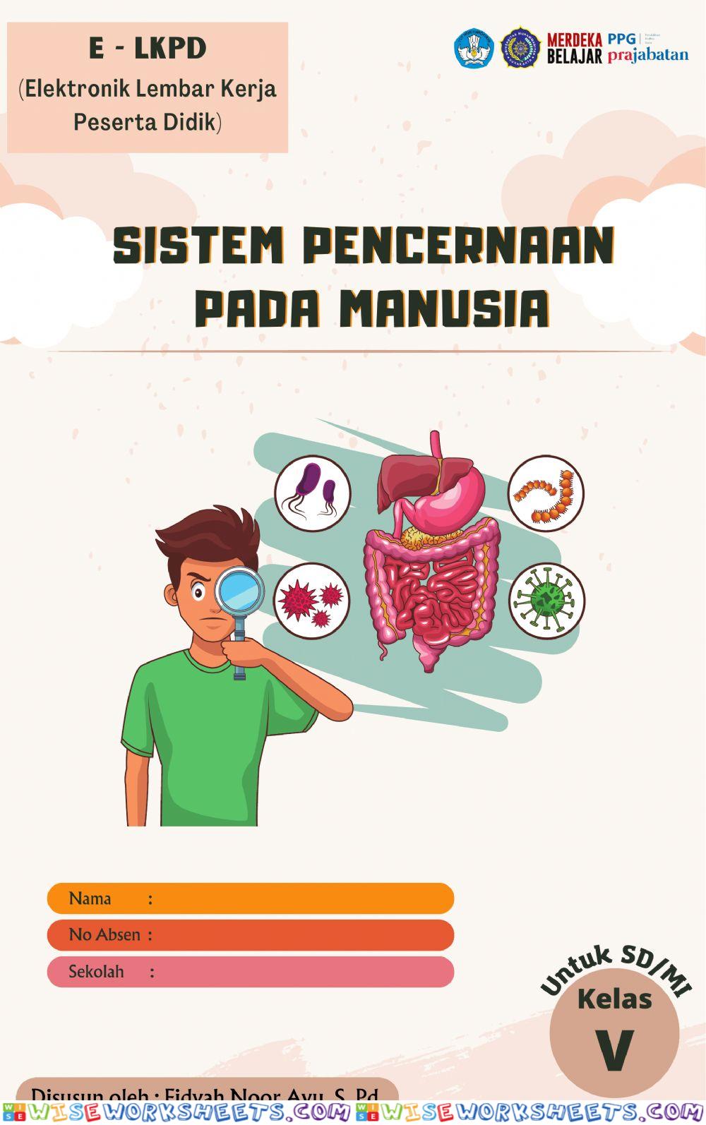 Sistem Pencernaan Manusia