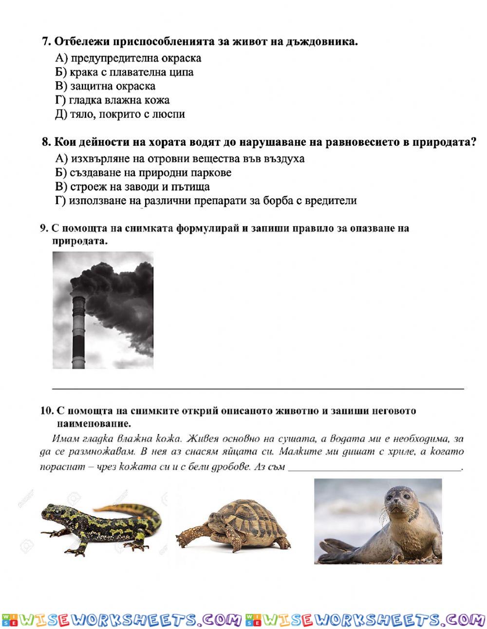 worksheet