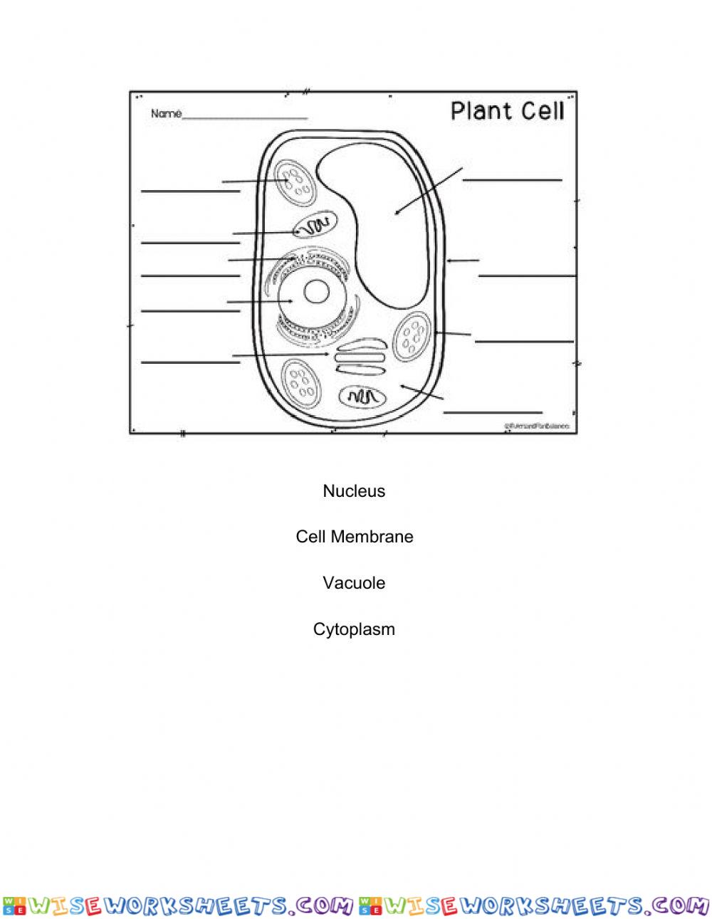 Cell Parts