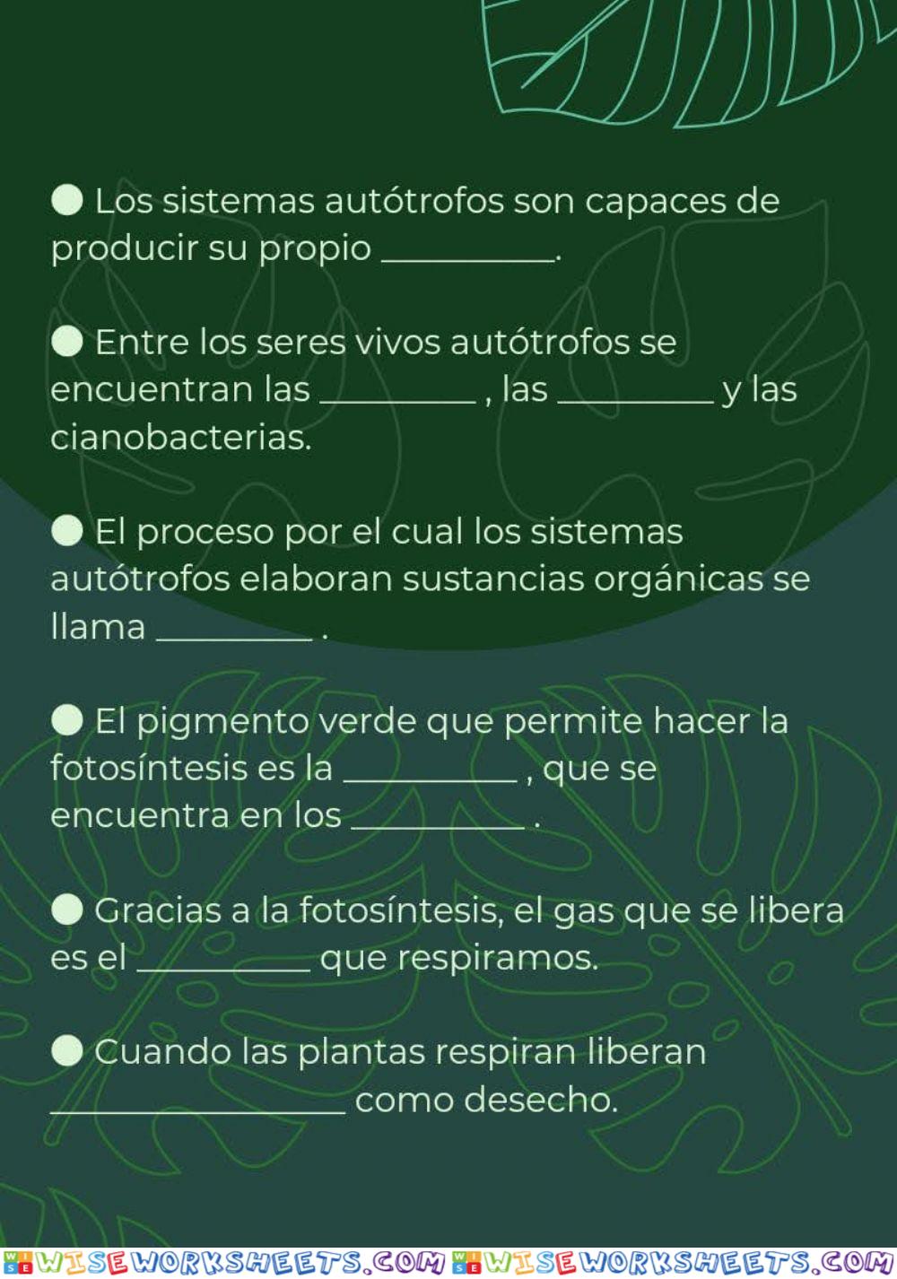 La nutrición en las plantas