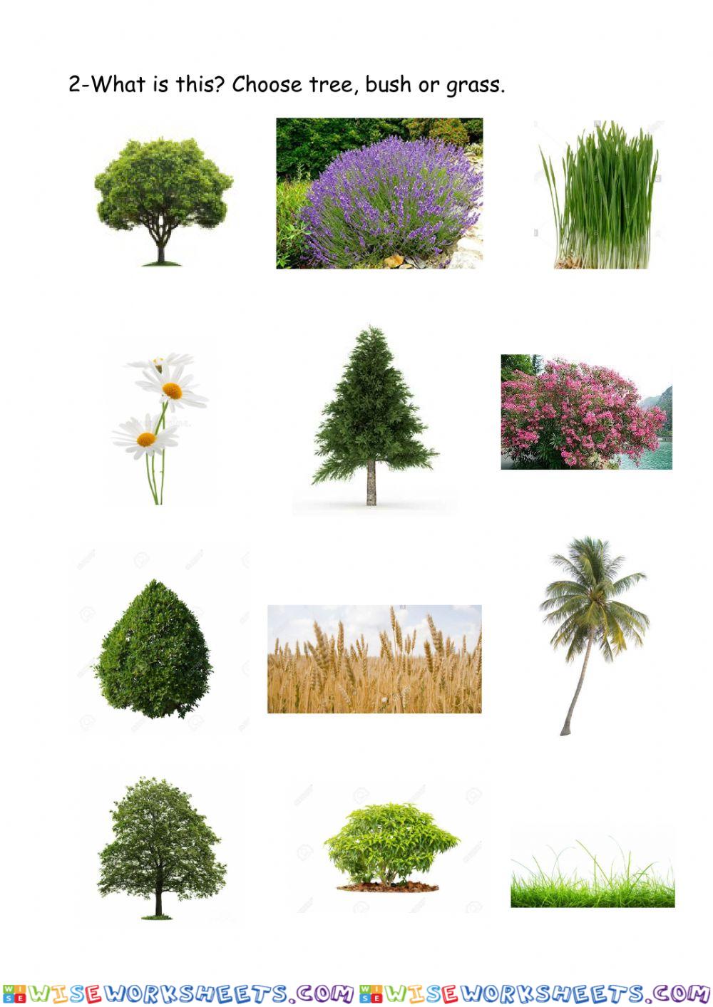 worksheet