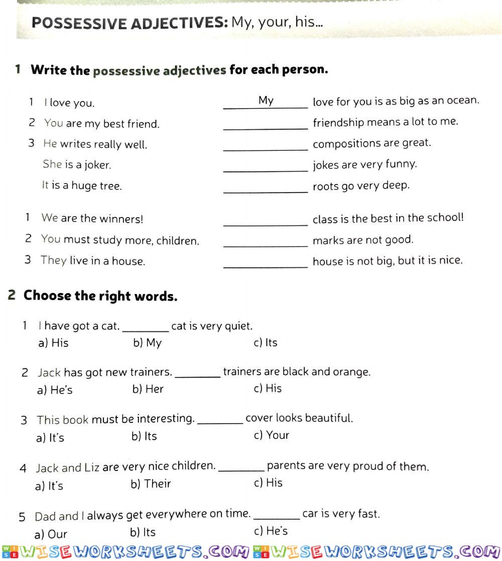 Possessive adjectives