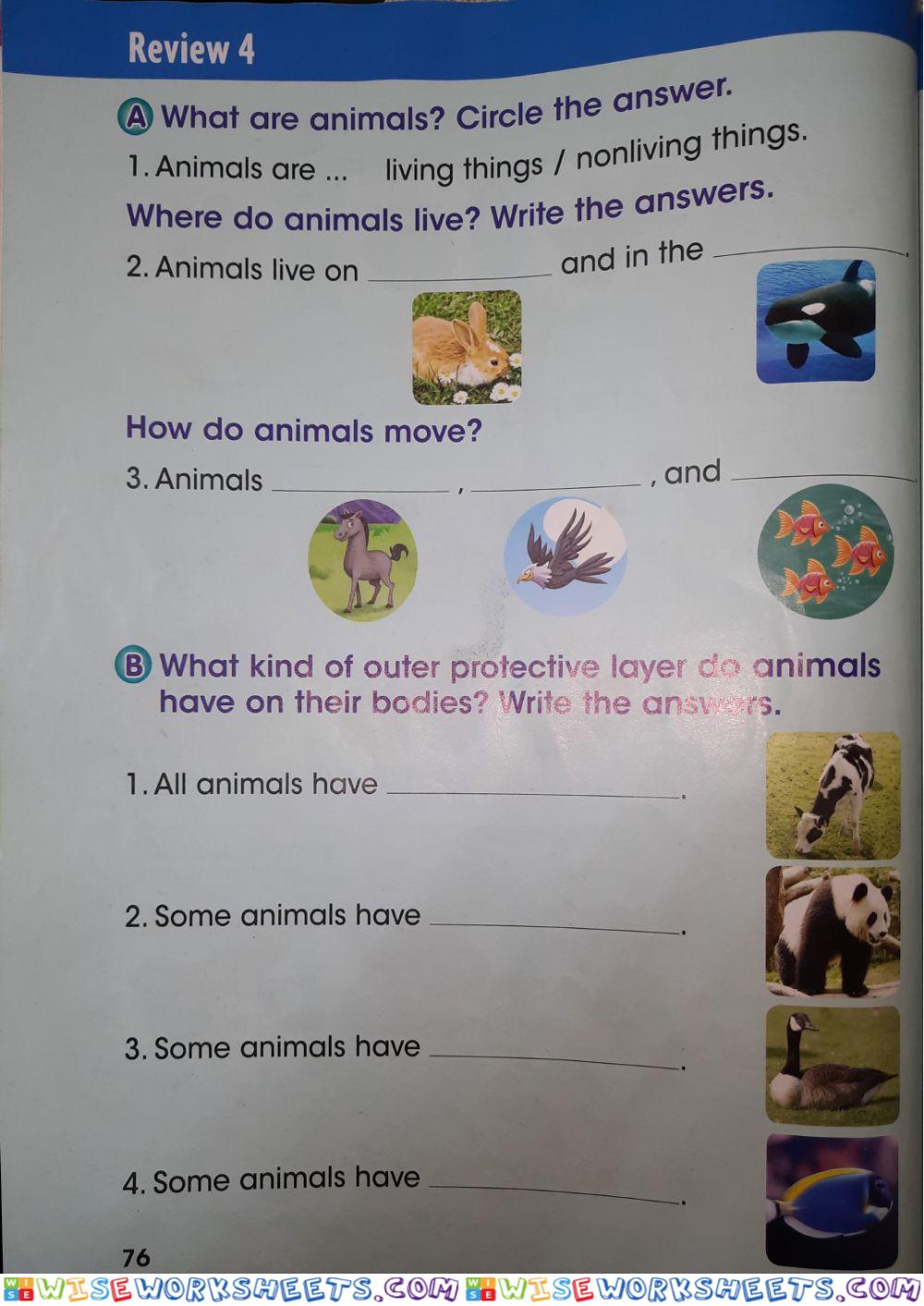 worksheet