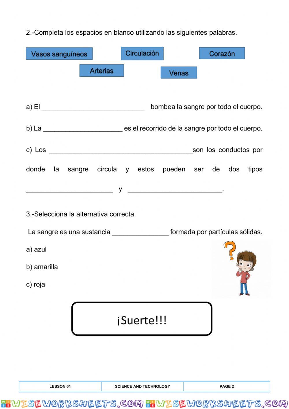 worksheet