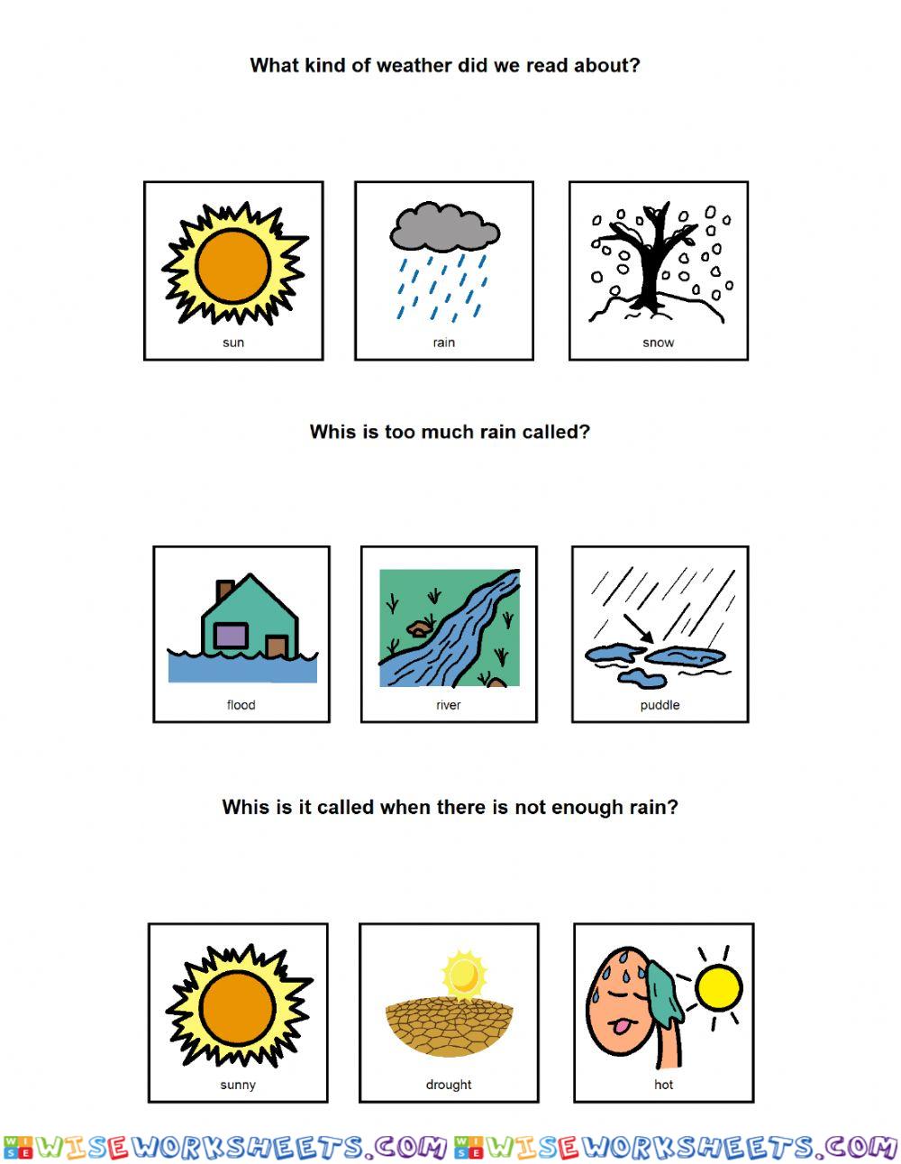 Rain