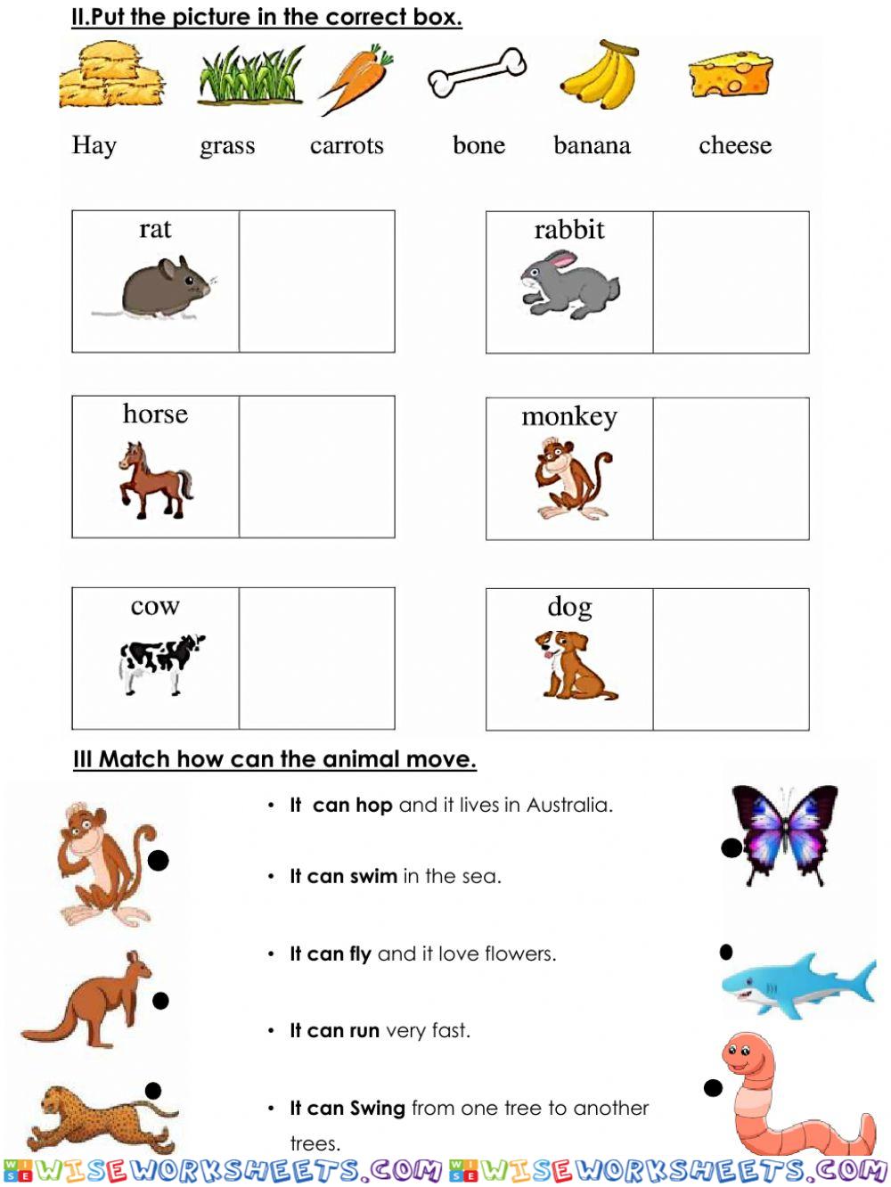 worksheet