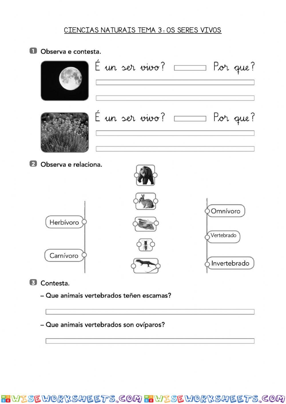 Os seres vivos