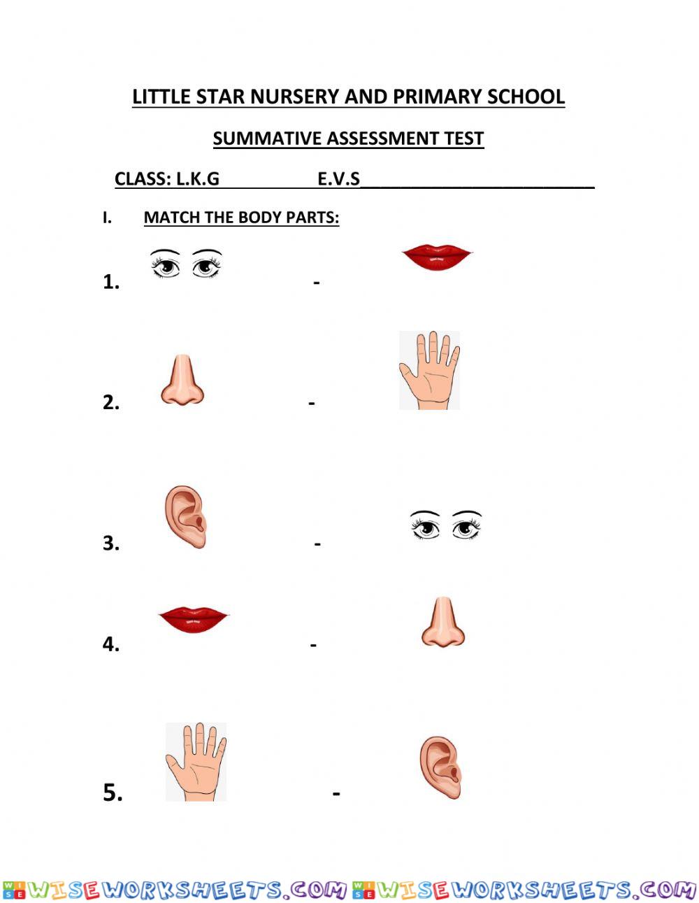 worksheet