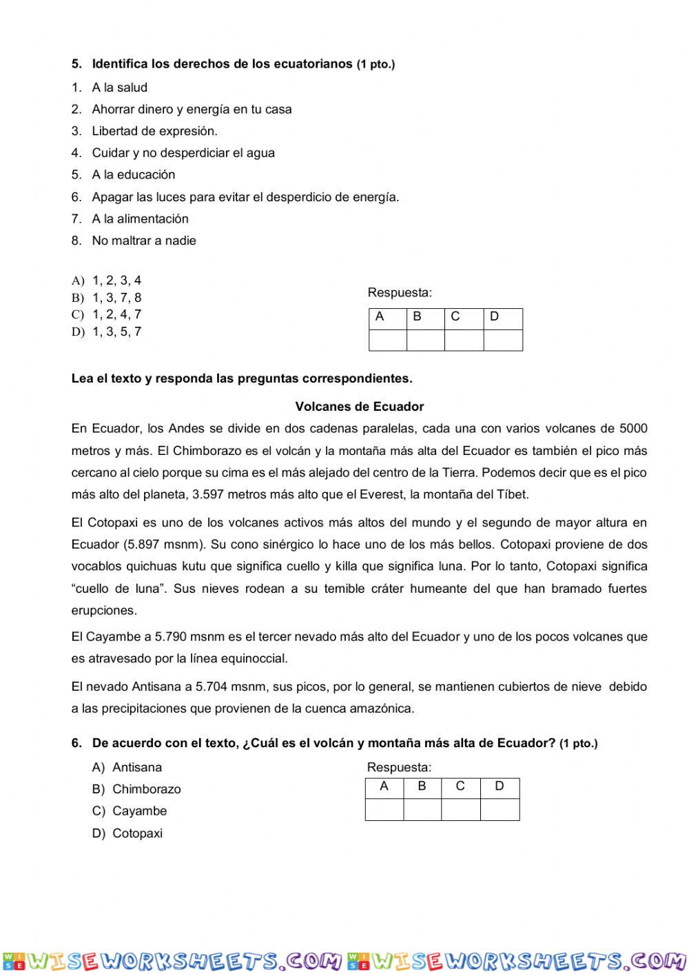 worksheet