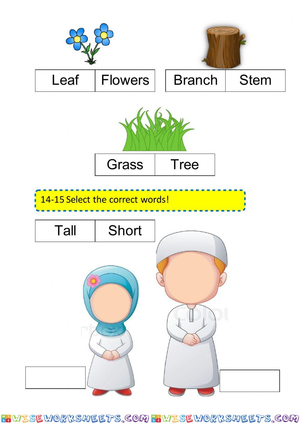 worksheet