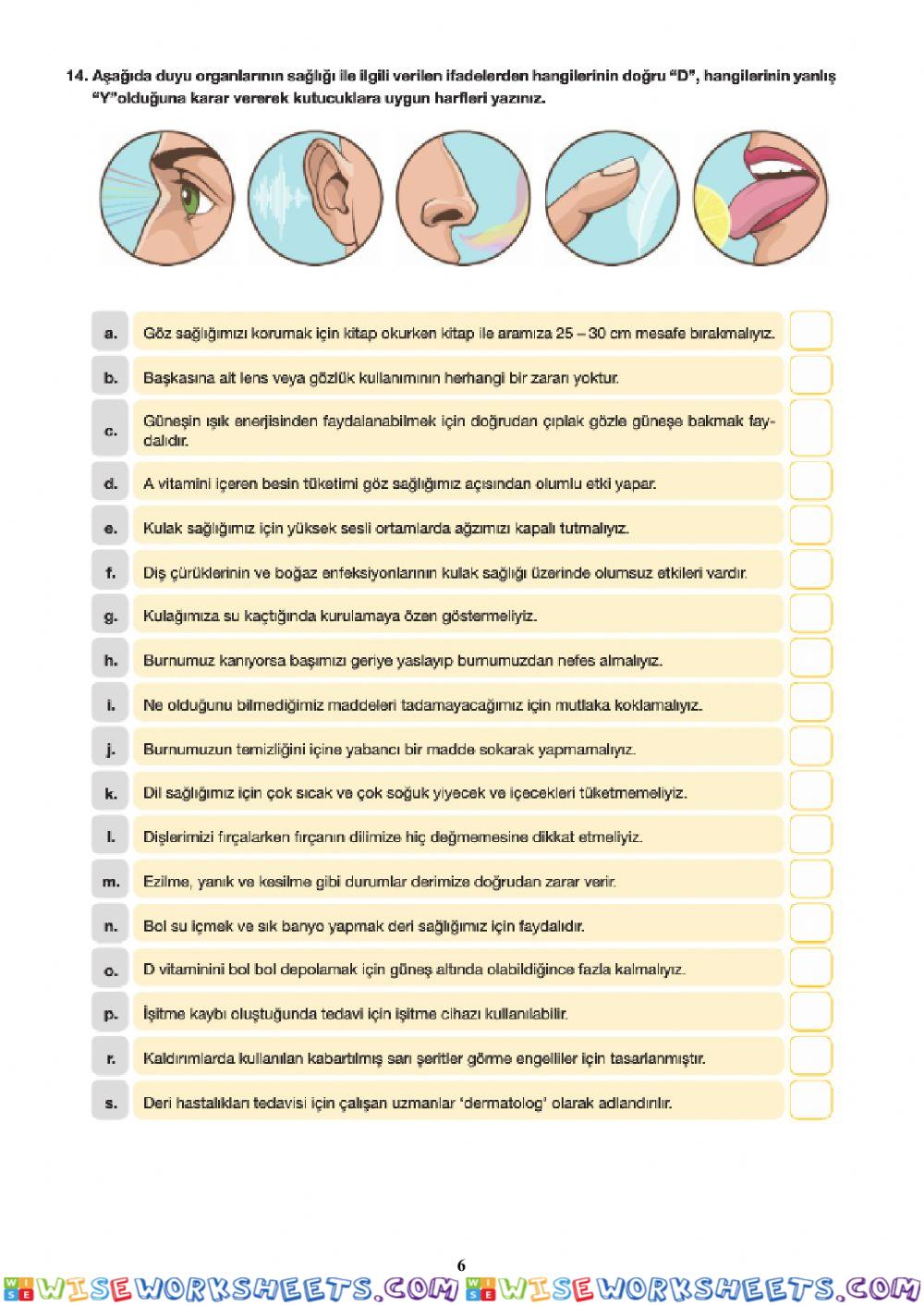 worksheet