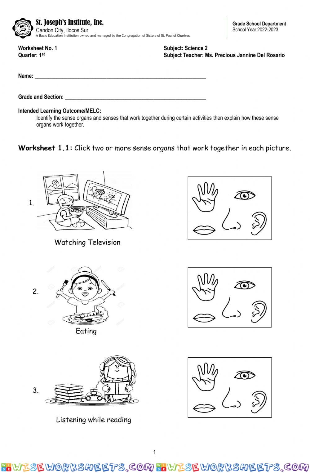 Senses Working Together